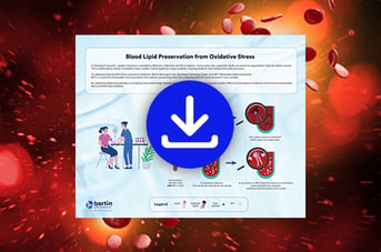 LP - BIOR - Tubes BHT
